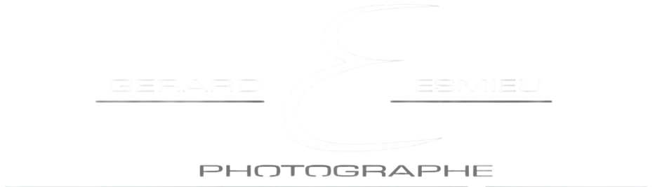 Gérard Esmieu Logo